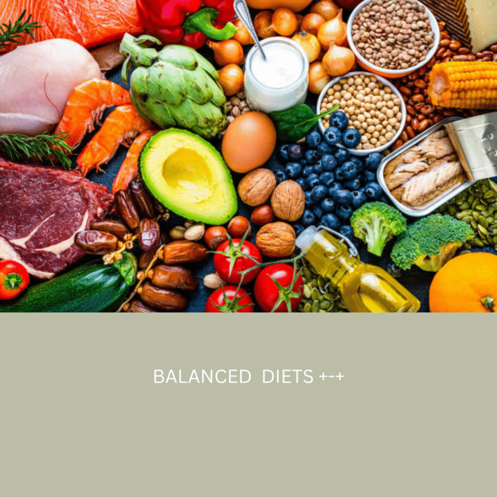 BALANCED DIETS
